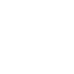 Electroplanet logo