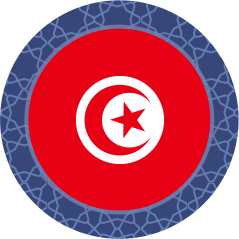 Agence Web Tunis (Tunisie)